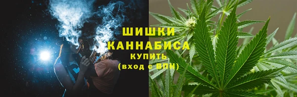 спайс Богданович