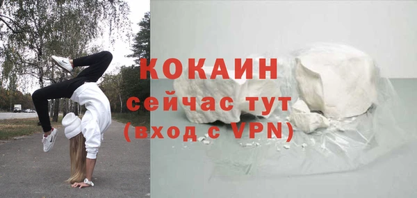 спайс Богданович