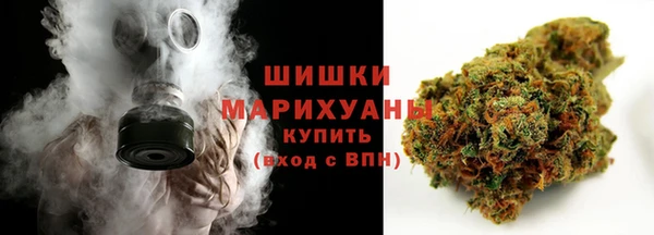 спайс Богданович