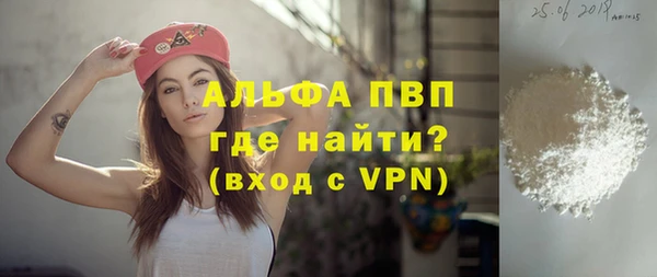 спайс Богданович