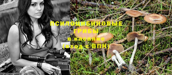 Альфа ПВП Богородск