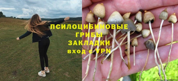 прущая мука Богородицк