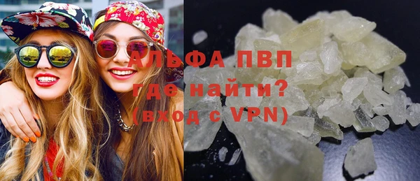 спайс Богданович