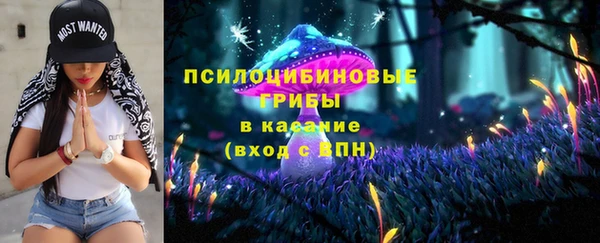 Альфа ПВП Богородск