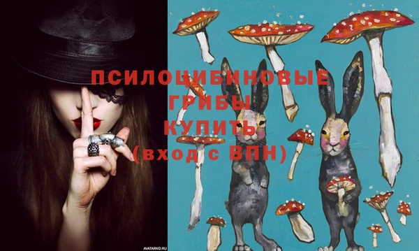 прущая мука Богородицк