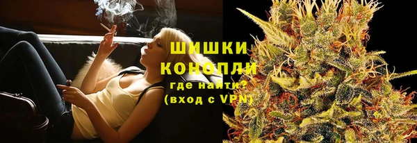 спайс Богданович