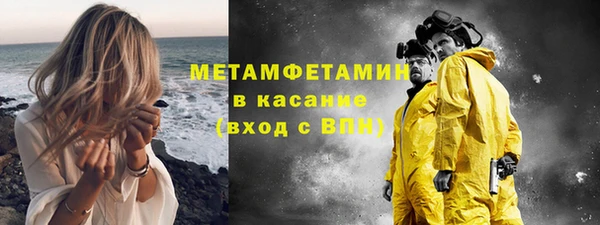 спайс Богданович